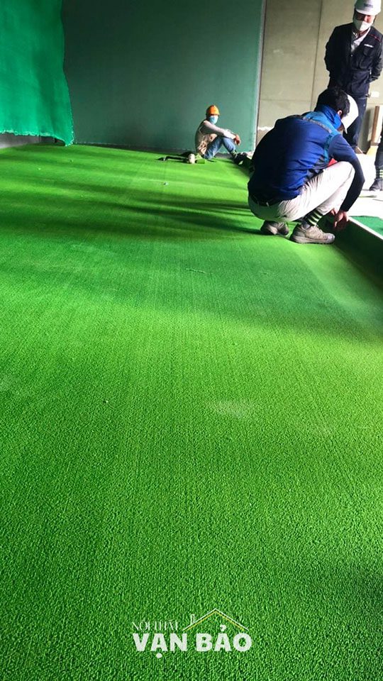 Tham van phong dang cuon mau xanh non chuoi 8