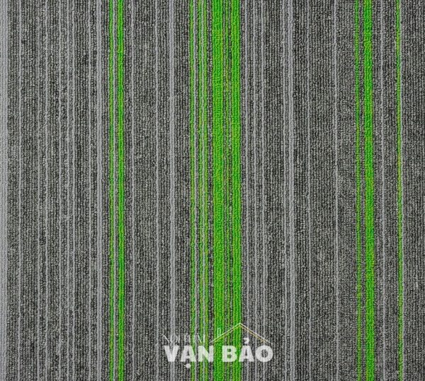 Tham tam trai san forest 02 7