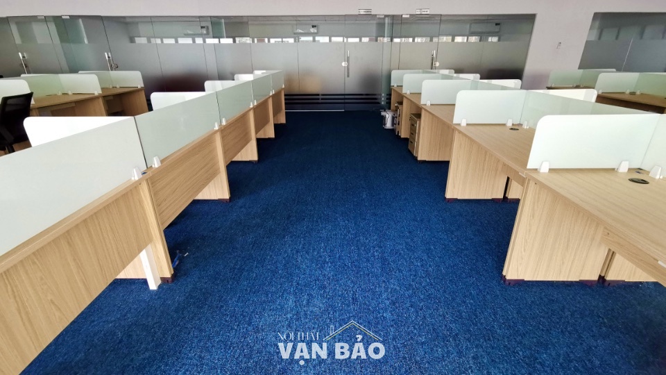 Tham van phong mau xanh duong 4