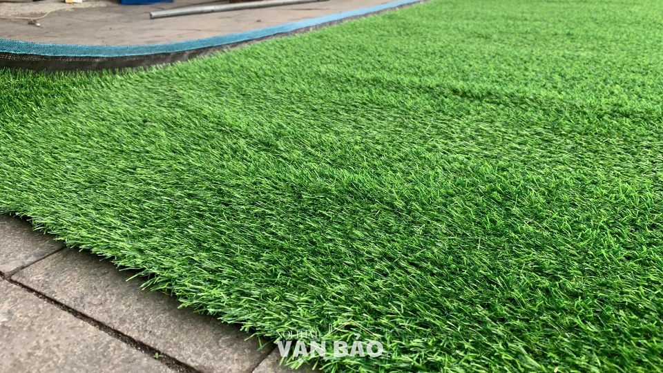 tham co han tao 2p 2