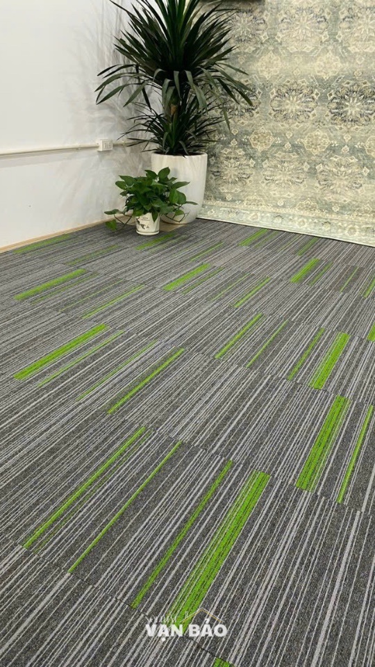 tham trai san van phong color 5